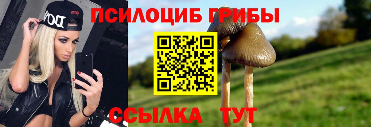 Зеленогорск  Галлюциногенные грибы прущие грибы  Вход с VPN  Галлюциногенные грибы мицелий 
